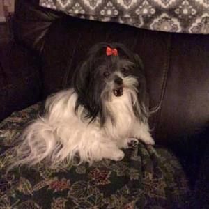 Meet your Posher, Jerry